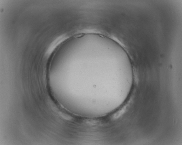 X0000076060199200610152211