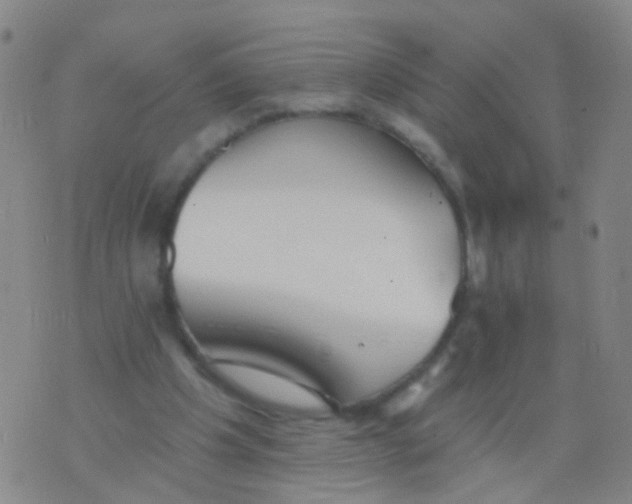 X0000076060201200610152211