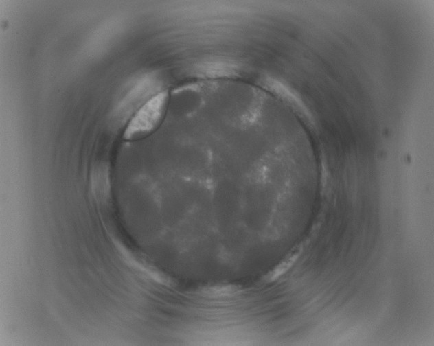 X0000076060202200610152211