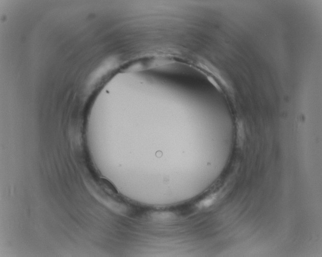 X0000076060203200610152211