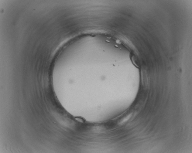 X0000076060204200610152211