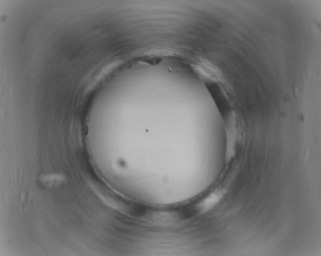 X0000076060205200610152211