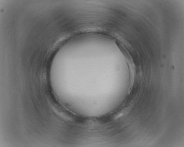 X0000076060207200610152211