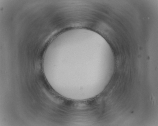 X0000076060208200610152211