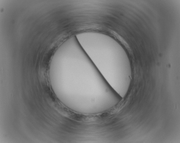 X0000076060209200610152211