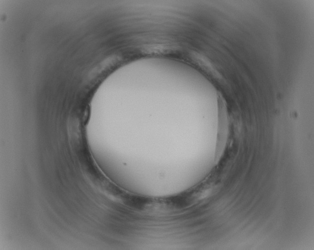 X0000076060211200610152211