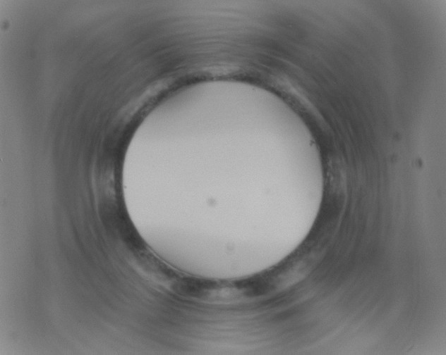 X0000076060212200610152211