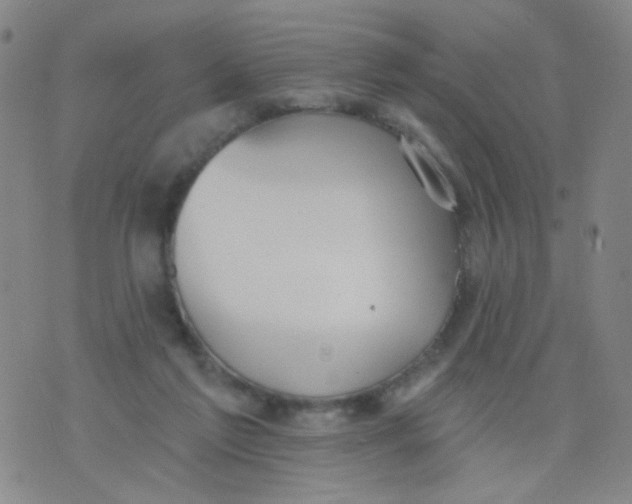 X0000076060213200610152211