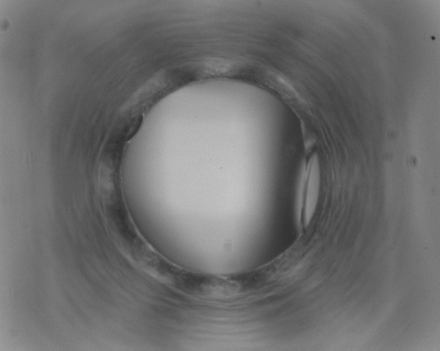 X0000076060215200610152211