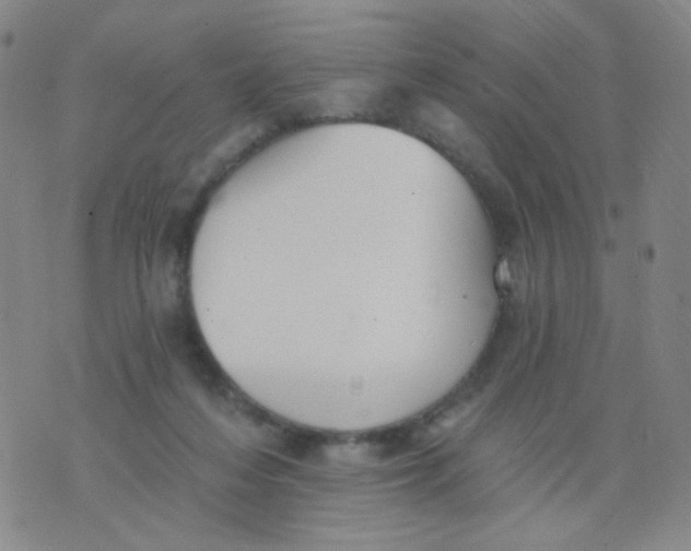 X0000076060216200610152211