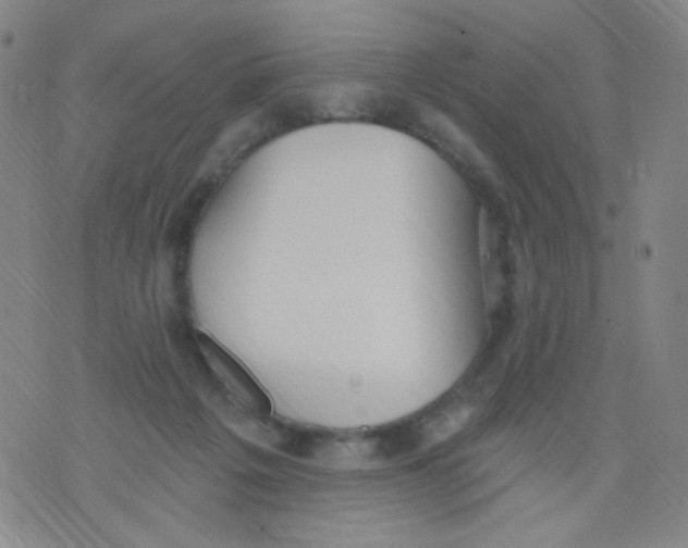 X0000076060217200610152211