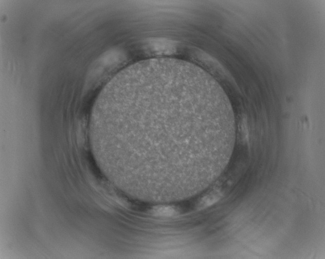 X0000076060218200610152211