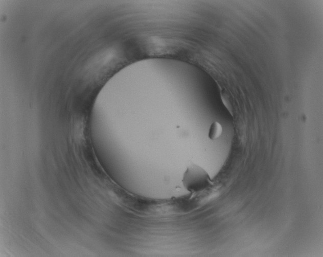 X0000076060219200610152210