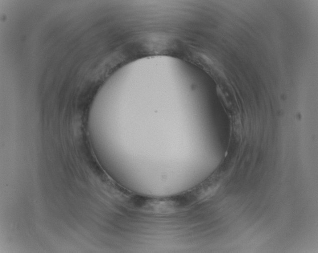 X0000076060221200610152210