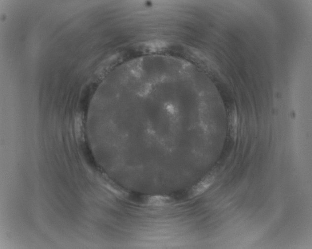 X0000076060222200610152210