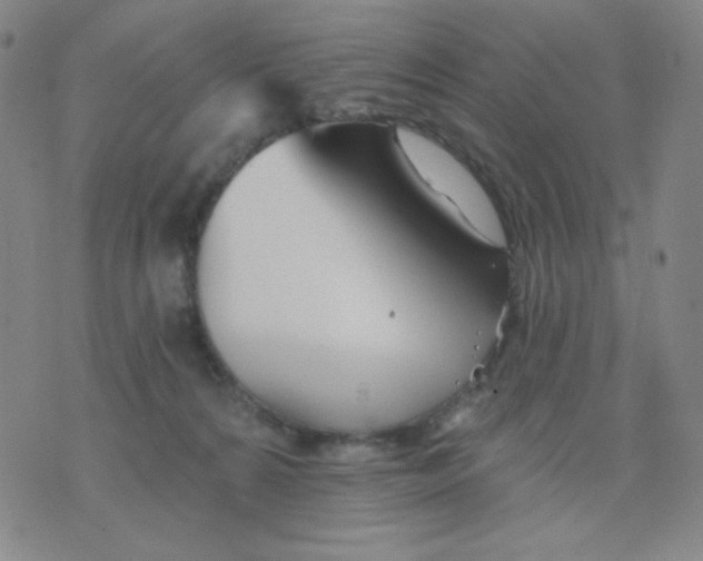 X0000076060224200610152210