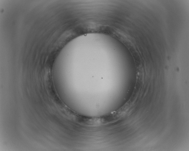 X0000076060225200610152210