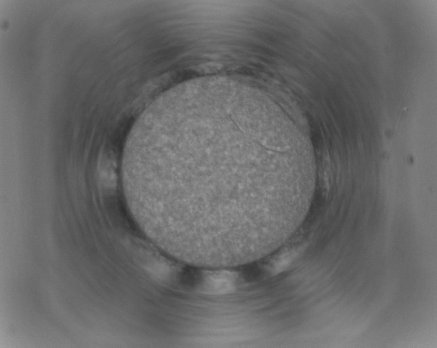 X0000076060226200610152210