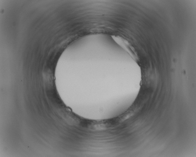 X0000076060228200610152210