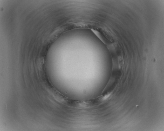 X0000076060229200610152210