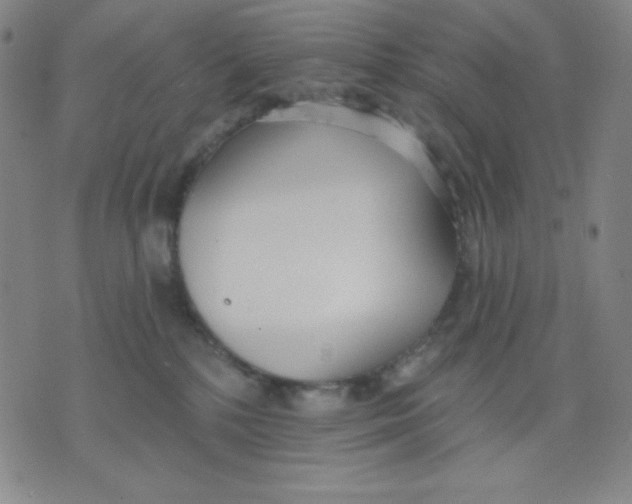 X0000076060232200610152210