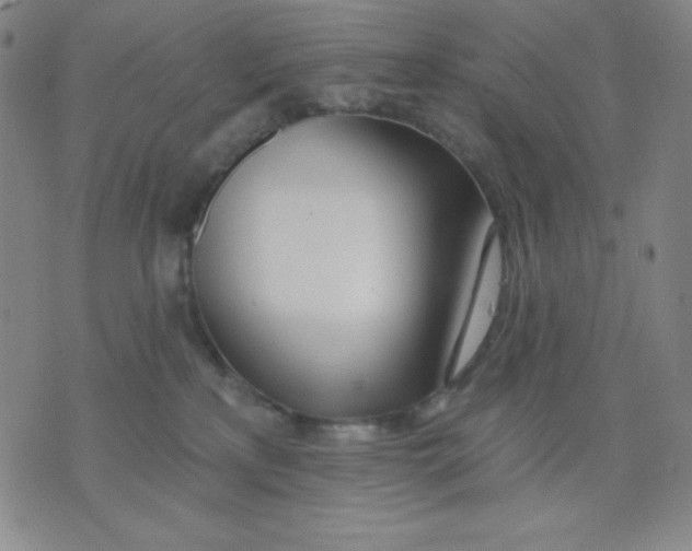 X0000076060233200610152210