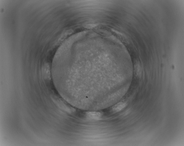 X0000076060234200610152210