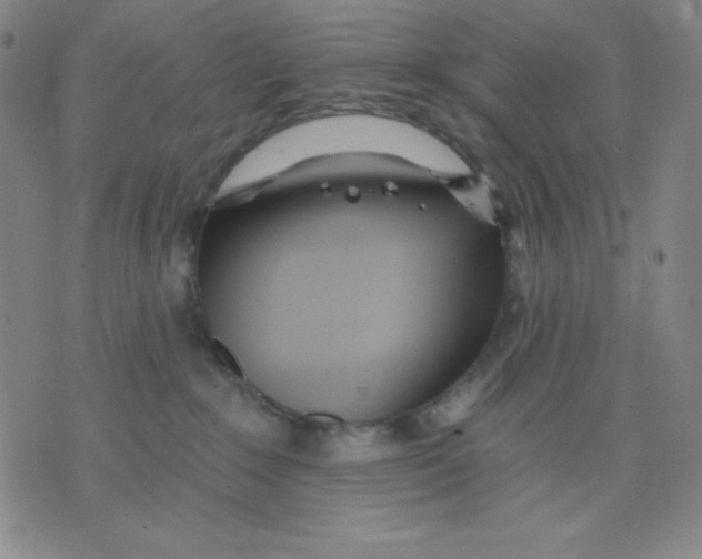 X0000076060235200610152210