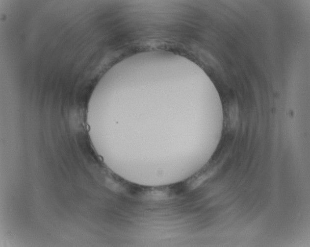 X0000076060236200610152210