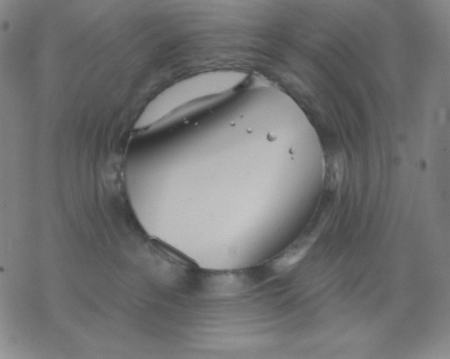 X0000076060237200610152210