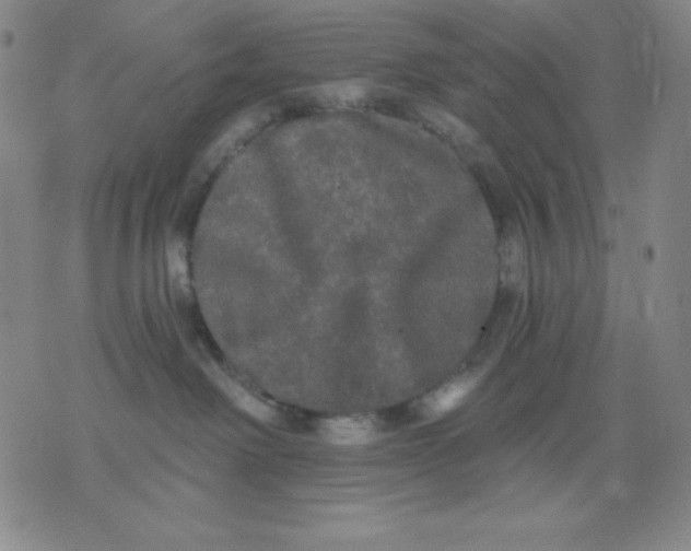 X0000076060238200610152210