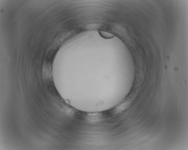 X0000076060240200610152210