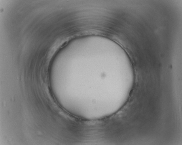 X0000076060241200610152209