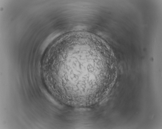 X0000076060242200610152209