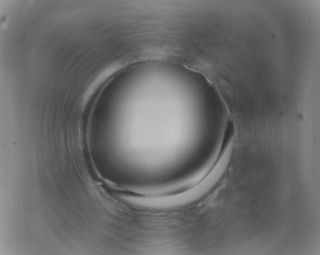 X0000076060244200610152209