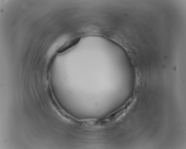 X0000076060245200610152209