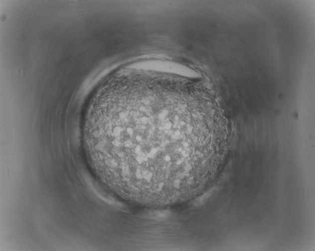 X0000076060247200610152209