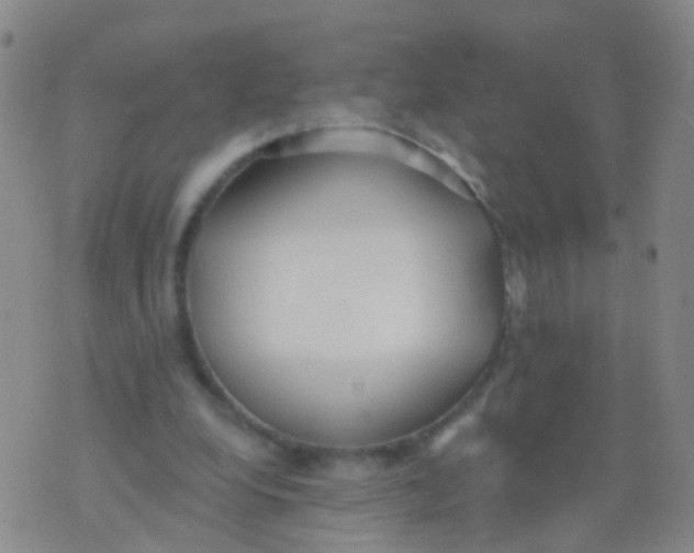 X0000076060248200610152209