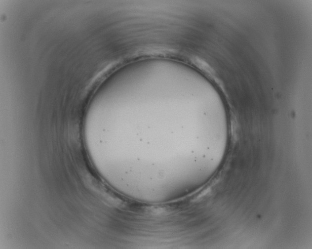 X0000076060249200610152209