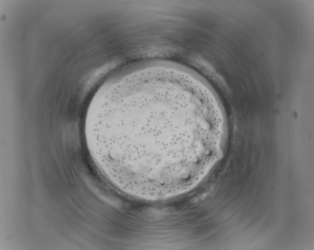 X0000076060250200610152210