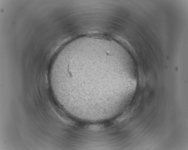 X0000076060251200610152210