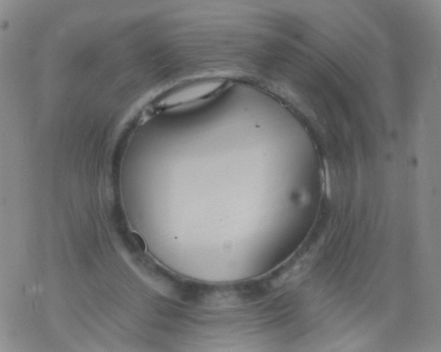 X0000076060252200610152210