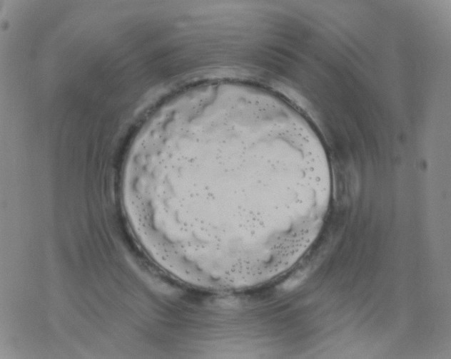 X0000076060253200610152210