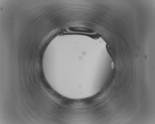 X0000076060256200610152210