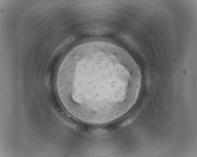 X0000076060258200610152210