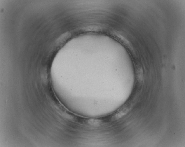 X0000076060261200610152210