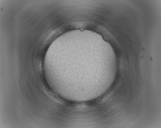 X0000076060262200610152210