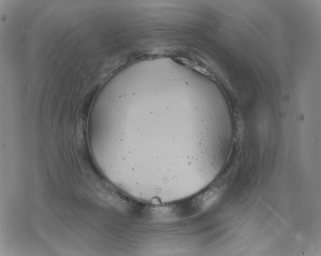 X0000076060265200610152210