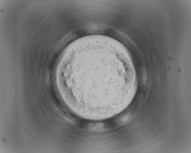 X0000076060266200610152210