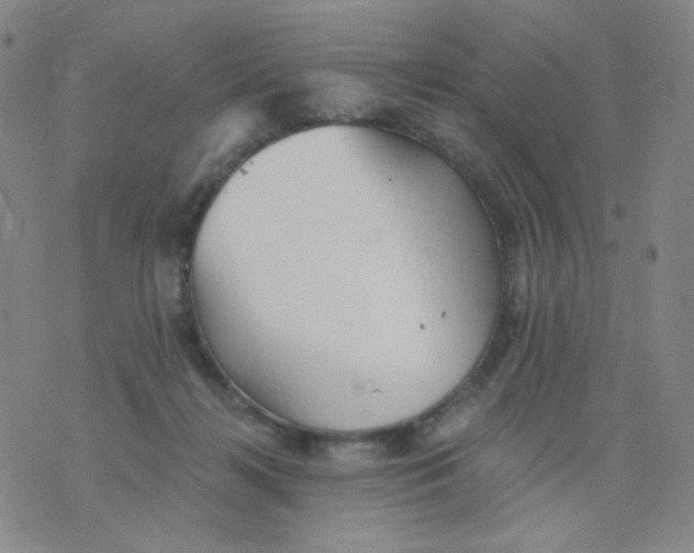 X0000076060268200610152210